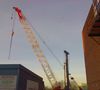 20120106_25_crane1.jpg