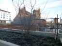 Filename=20140121_22_planters2.jpg
Filesize=635KiB
Dimensions=1024x768
Date added=Jan 26, 2014 20140121_22_planters2.jpg