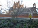 Filename=20140121_23_planters3.jpg
Filesize=731KiB
Dimensions=1024x768
Date added=Jan 26, 2014 20140121_23_planters3.jpg
